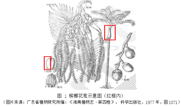 QQ图片20230606165910.png